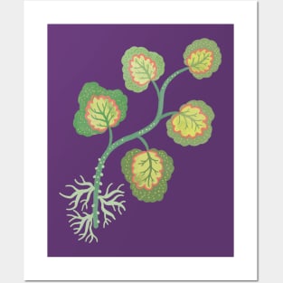 Geranium Cutting Posters and Art